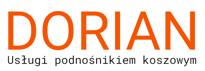 www.podnosniki-dorian.pl